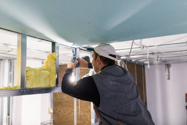 Best Crawl Space Insulation  in USA